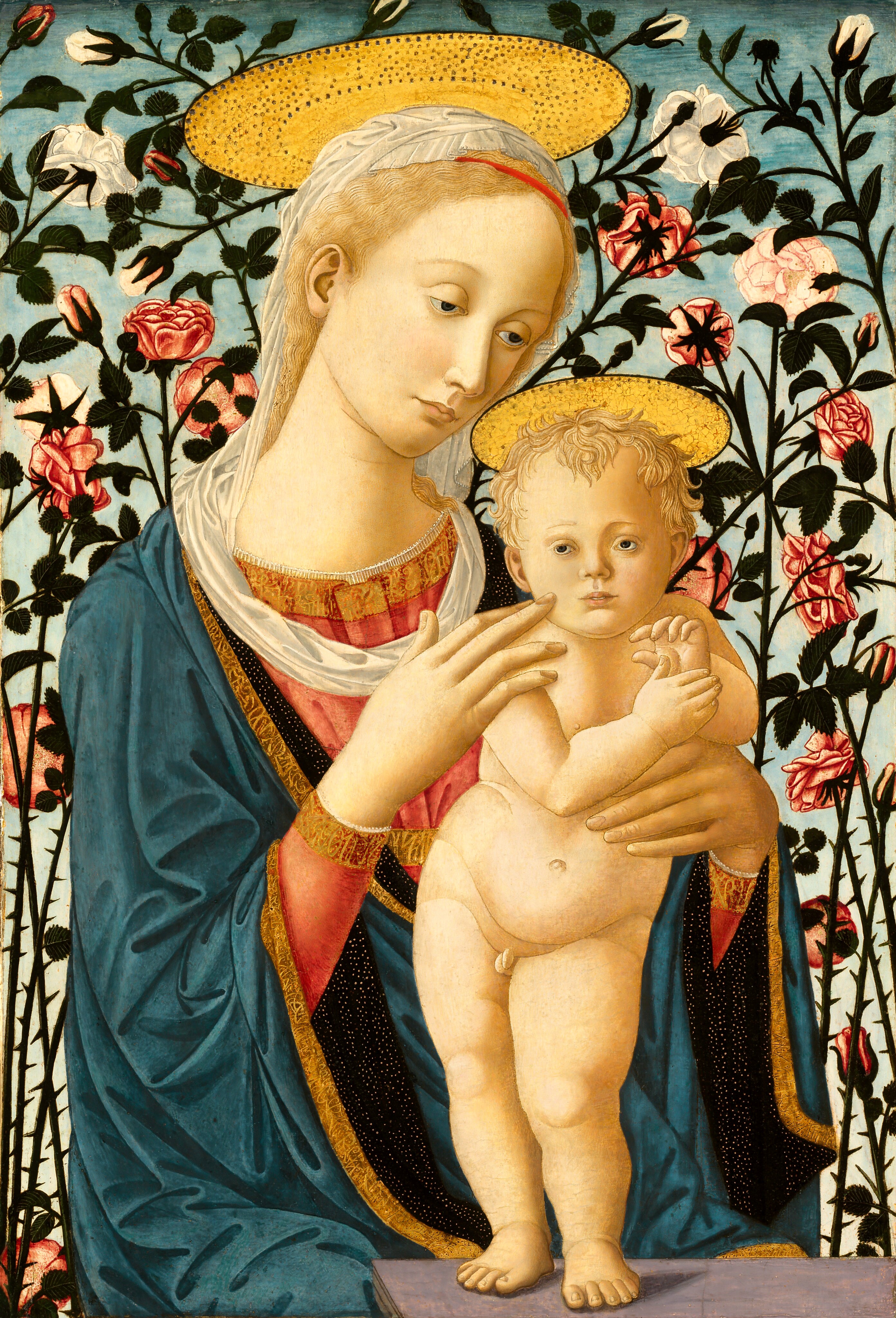 Blank Greeting Card - Madonna of the Roses